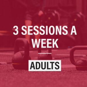 3 Sessions a Week (Adults)